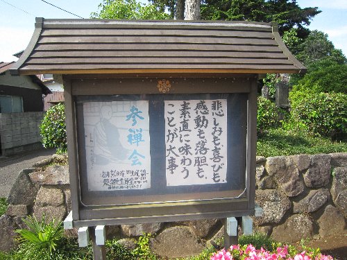 IMG 3577JPG 1