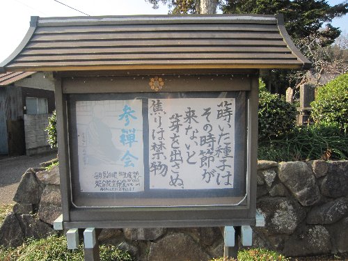 IMG 3740JPG 1