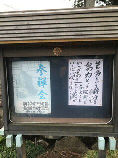 令和4年3月の栞の葉