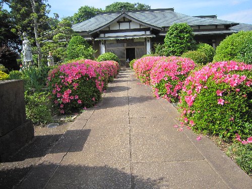 IMG 3578JPG 1
