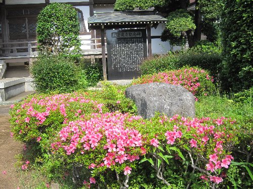 IMG 3585JPG 1