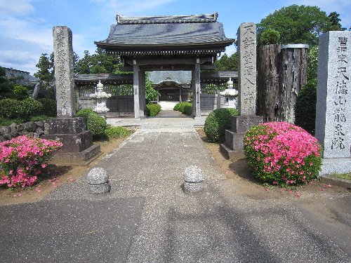 IMG 3586JPG 1