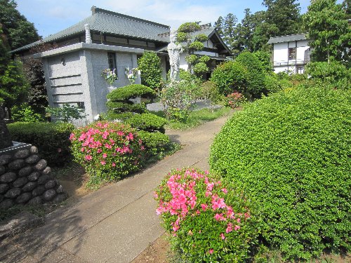 IMG 3588JPG 1