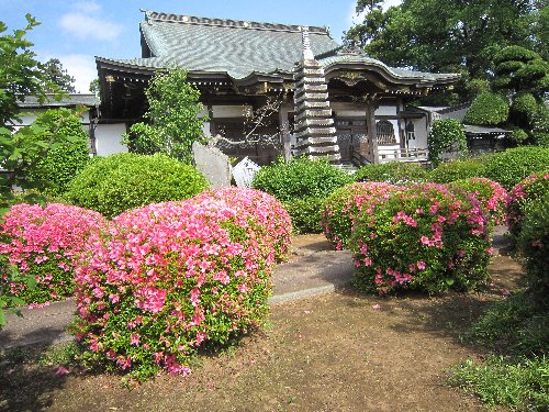 IMG 3590JPG 1