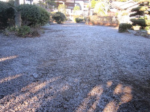IMG 3712JPG 1