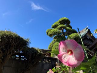 IMG 4273s